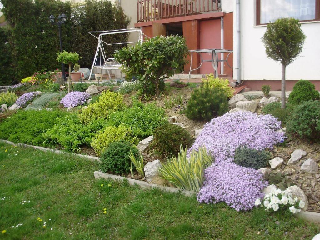 Apartman Berki Hévíz الغرفة الصورة