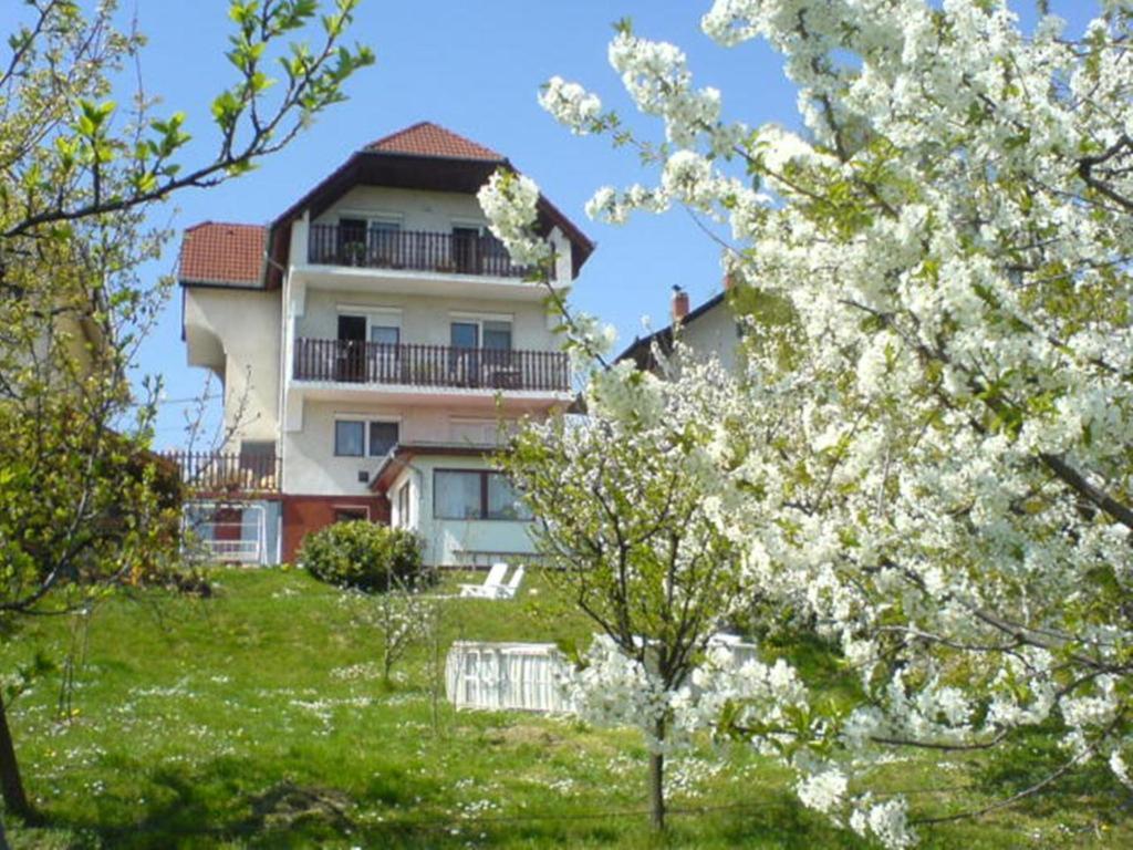 Apartman Berki Hévíz المظهر الخارجي الصورة